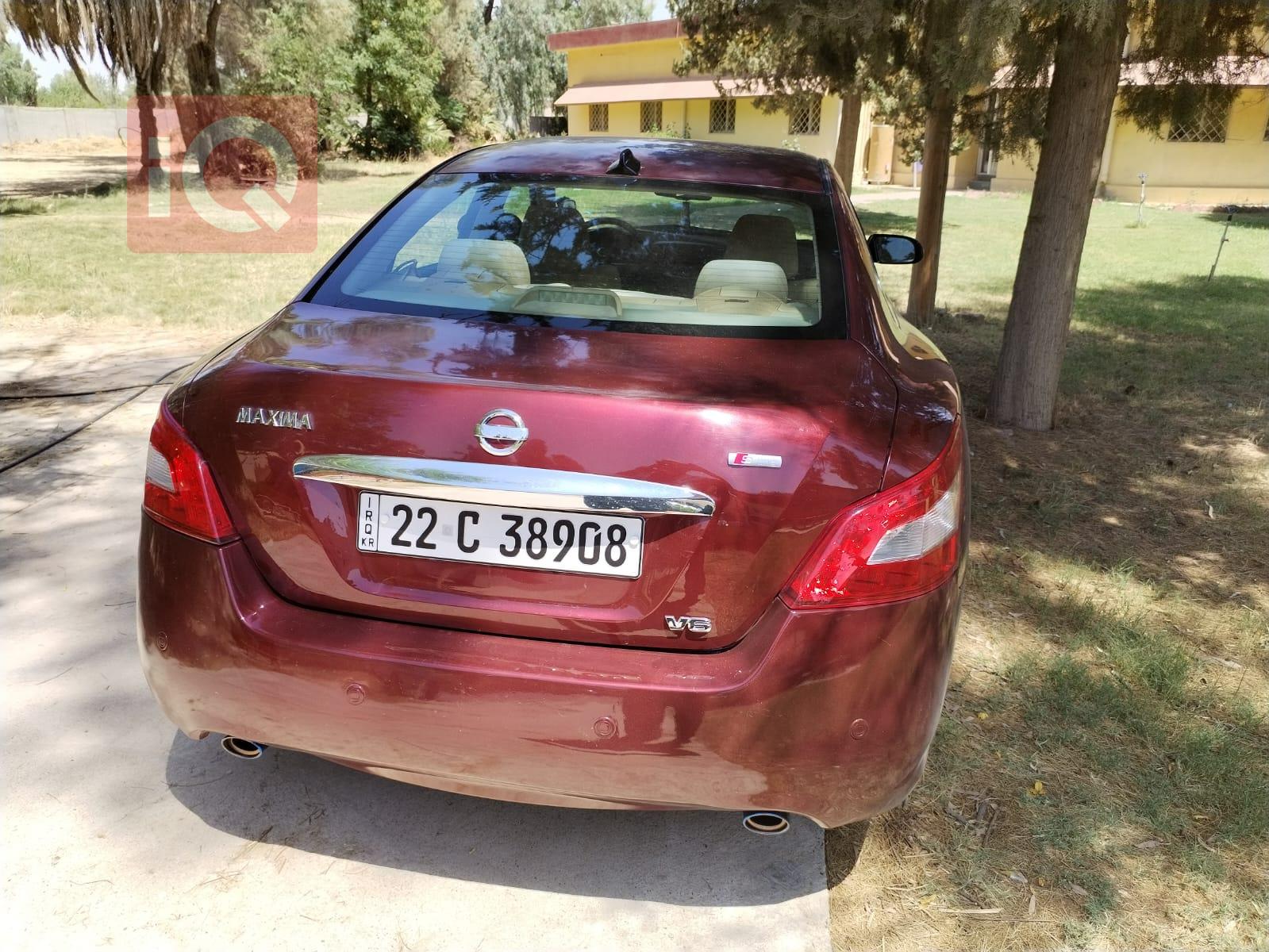 نيسان ماكسيما